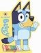 Bluey All About Bluey Board Book by 