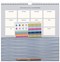 Busy B Mid-Year Weekly Calendar - Sage
