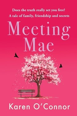 Meeting Mae by O'Connor Karen