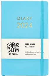 Busy B Slim Diary January to December 2024 - Rose - Faux Leather Week to  View Slim Planner with Notes : : Stationery & Office Supplies